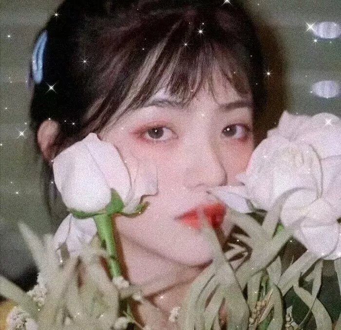 热门明星 布